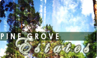 Pine Grove Estates 2004 logo