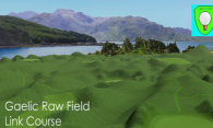 Gaelic Raw Field Link Course logo