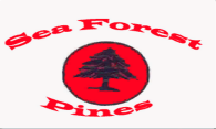 Sea Forest Pines 9 Warm Up logo