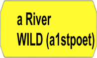 A River Wild logo