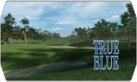 True Blue 2009 logo
