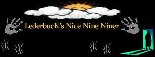 LederbucK`s Nice Nine Niner logo