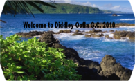 Diddley Oofla G.C. 2010 logo