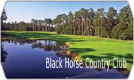 Black Horse Country Club logo